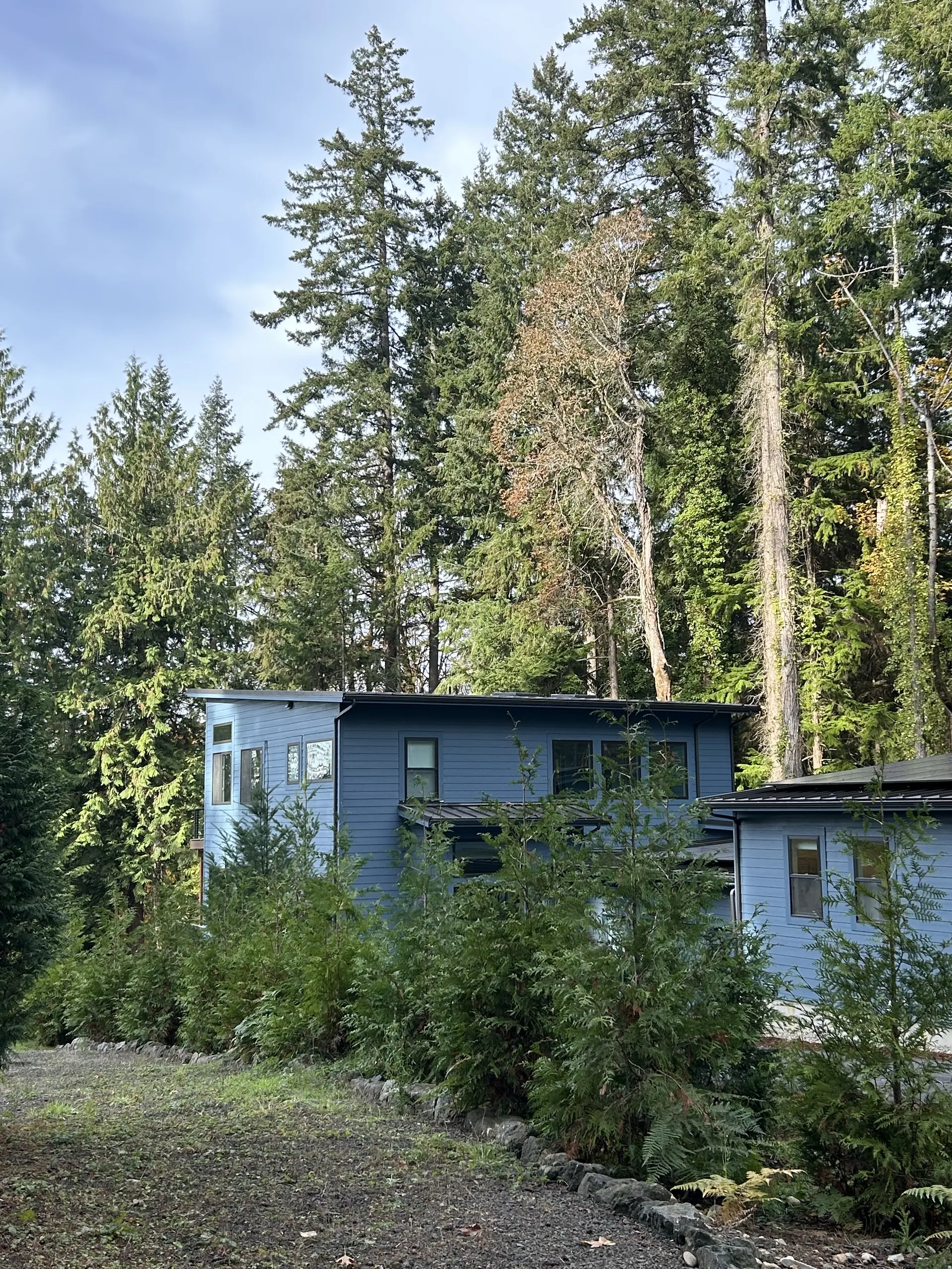 Bainbridge Cabin, Bainbridge Island by Piper Cole Architects, image 8